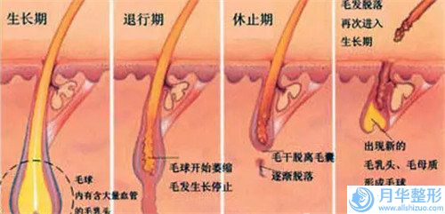 福州一针瘦脸术整形价格贵不贵呢,福州一针瘦脸术手术治疗费用