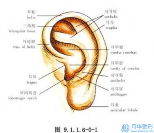 潍坊做缩小胸部手术费用的三个决定因素