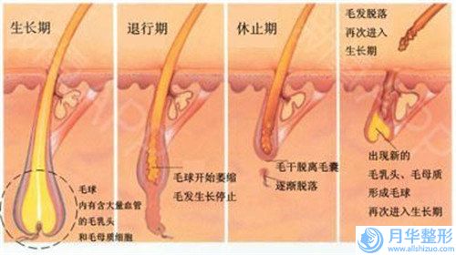 呼和浩特吴老贵整形医疗美容诊所收费标准2023公布出炉-呼和浩特吴老贵整形医疗美容诊所打了瘦脸针费用要花多少钱