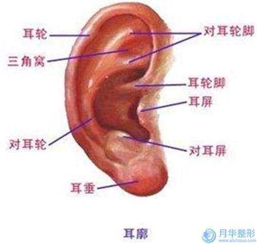 中国你大爷陷修复哪家整形医院好：你大爷陷修复医院前50位介绍