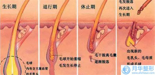 邢台薇澜一美医疗美容诊所价格(费用)清单完整火热出炉-小v脸吸脂案例