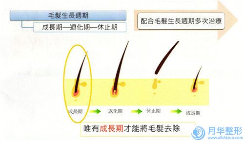 淮南市全脸点阵激光价格价位表受大家喜爱一览(全脸点阵激光均价为：7391元)