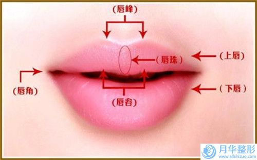 自体脂肪隆下巴贵对视力有什么影响