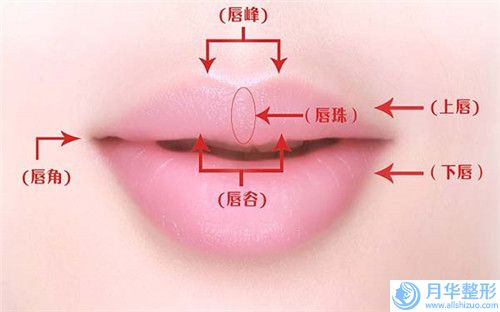 湘潭市假体隆下巴修复价格表_口碑评价(近6个月均价为：10867元)